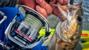 Tackle Test: Shimano Vanford A Spinning Reel Review