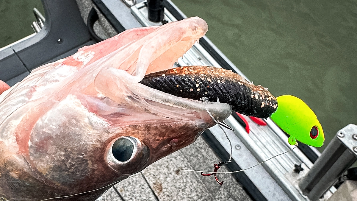 snap jigging suspended walleye