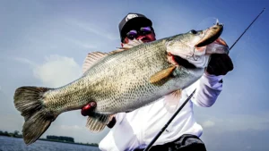 How Kenta Kimura Works Big Squarebills for Monster Bass