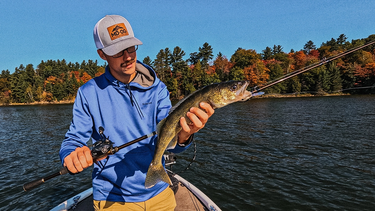 walleye pike on the hook