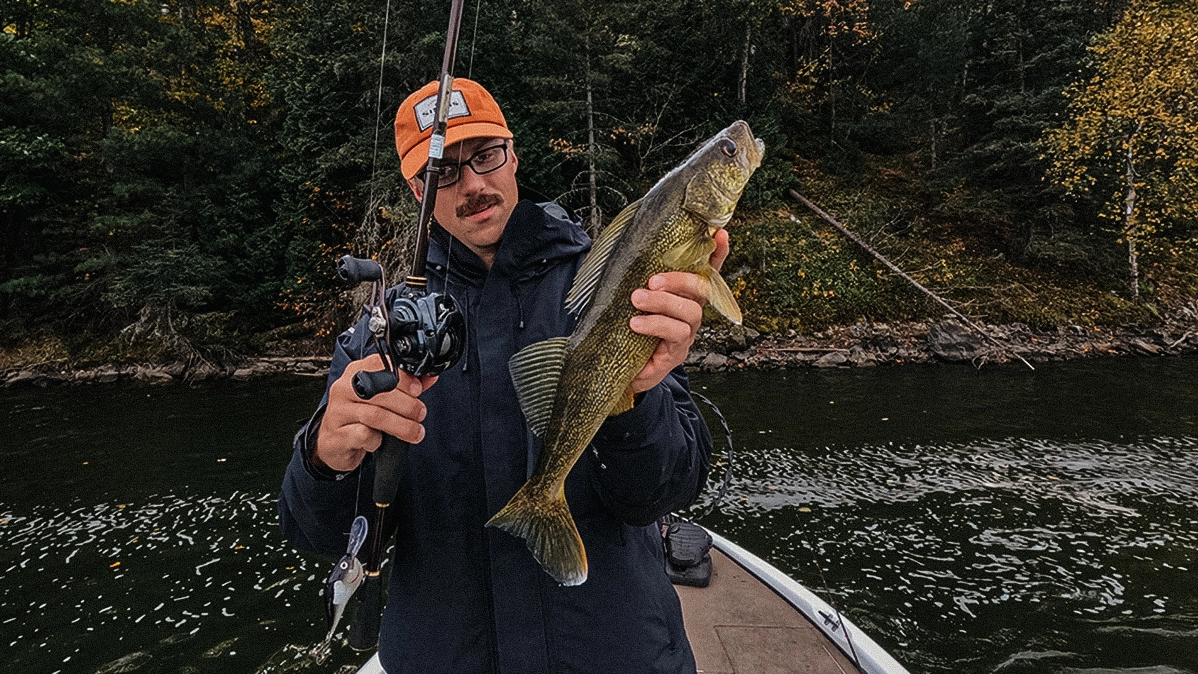 walleye pike on the hook