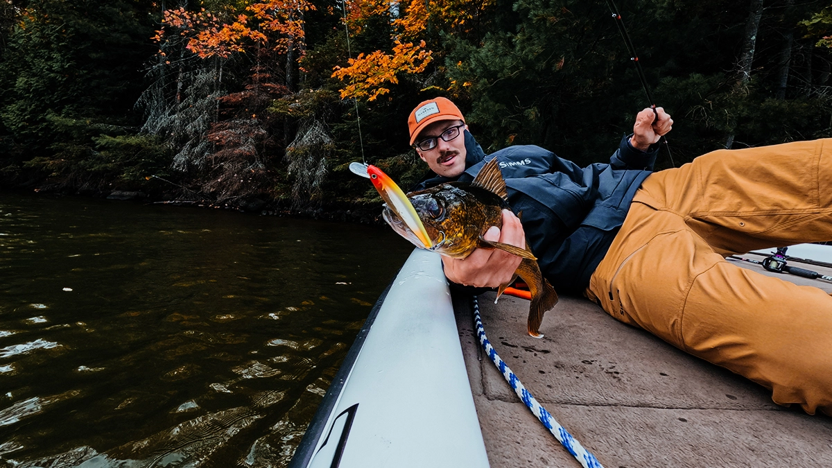 walleye pike on the hook