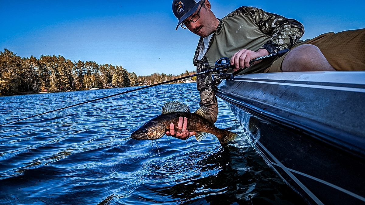 walleye pike on the hook