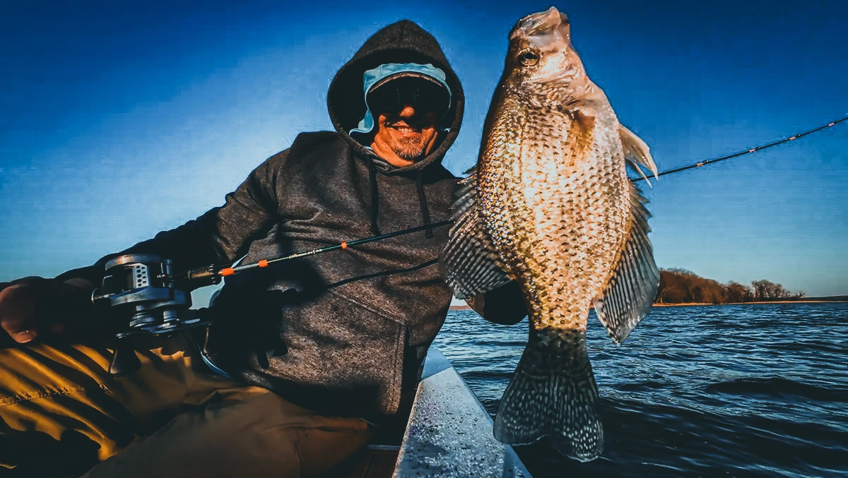 schools of black crappie