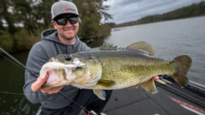 [VIDEO] Why Clacker-Style Buzzbaits Shine for Fall Bass Fishing