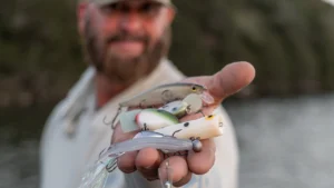 [VIDEO] Swindle’s Fall Bass Bait Rotation for Shad Fisheries