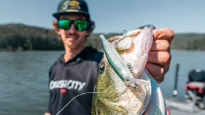 [VIDEO] Suspended Bass Tactics | Top Jerkbait and Minnow Methods