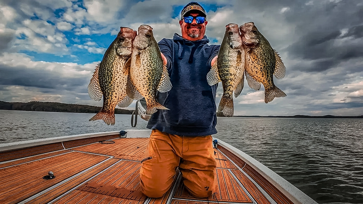 schools of black crappie