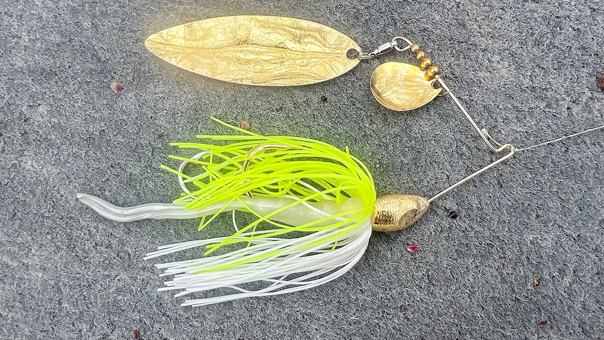 spinnerbait with Colorado and willow blades