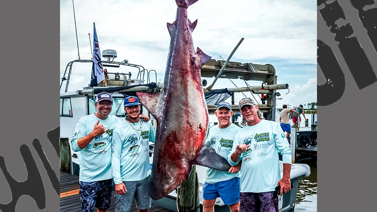 alabama state record bull shark