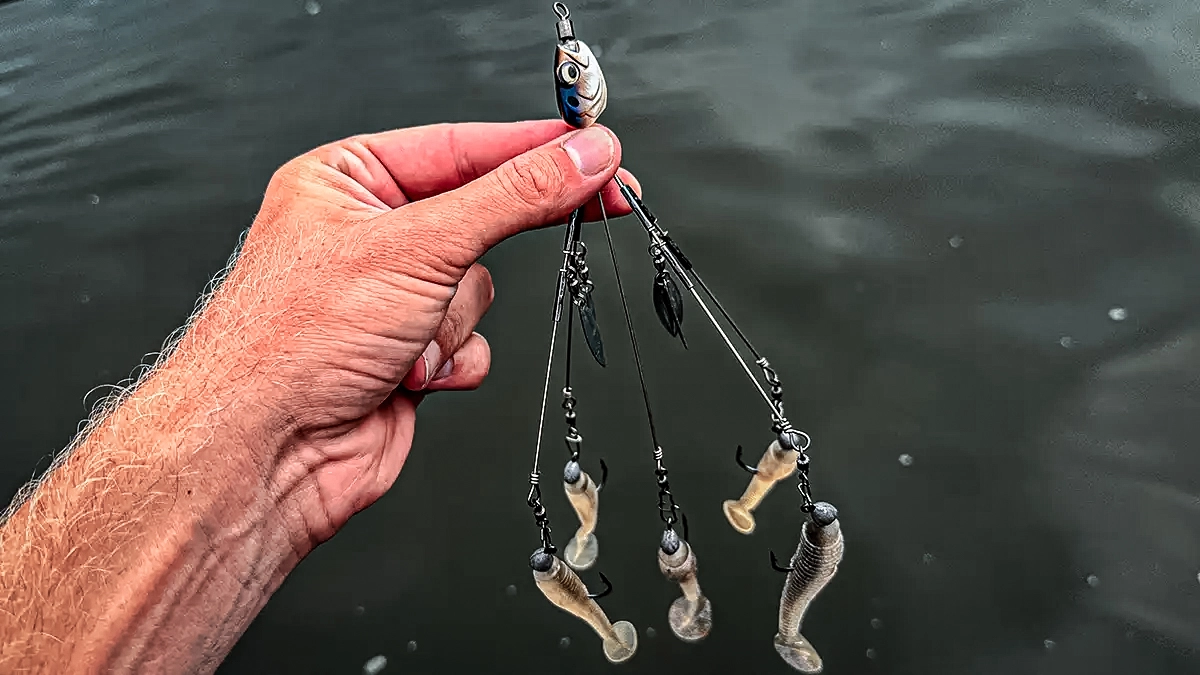 umbrella rigs winter bass