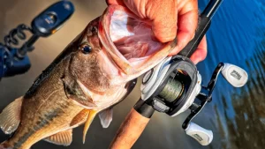 Abu Garcia Max Pro Casting Reel Review