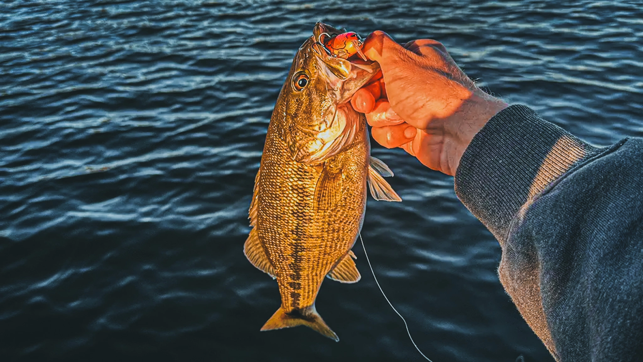 winter bass lures