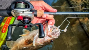 Fenwick Elite Bass Casting Rod: Test and Review