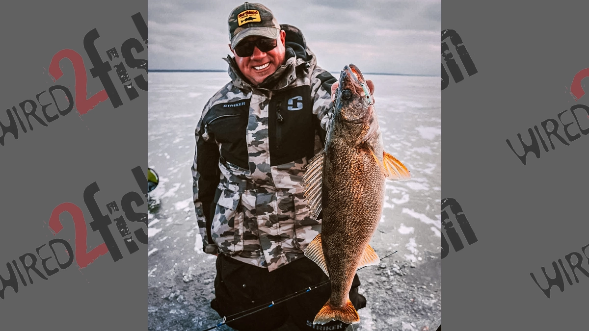 walleye ice fishing brad hawthorne