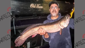 Potential State Record Bowfin Caught in New Jersey