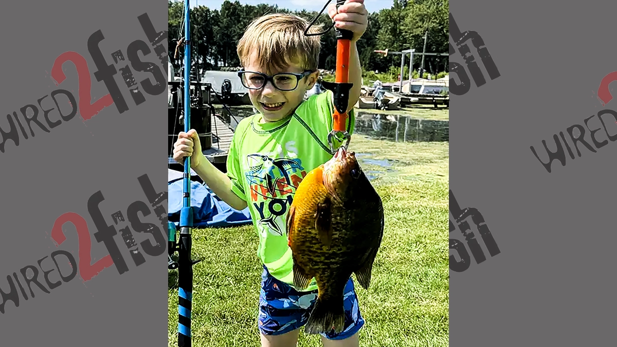 5 year old catches record seedfish