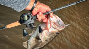 Lew's Speed Spool Gen3 with bass