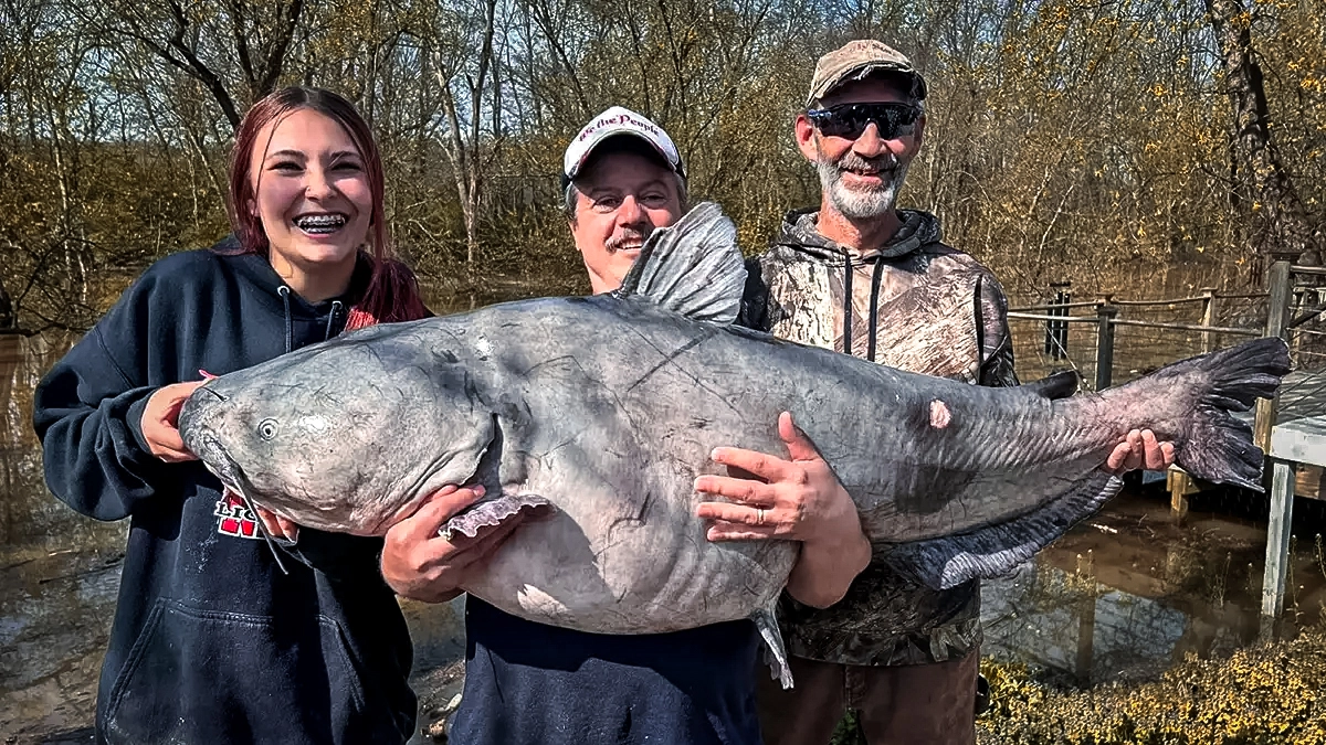 ohio state record catfish