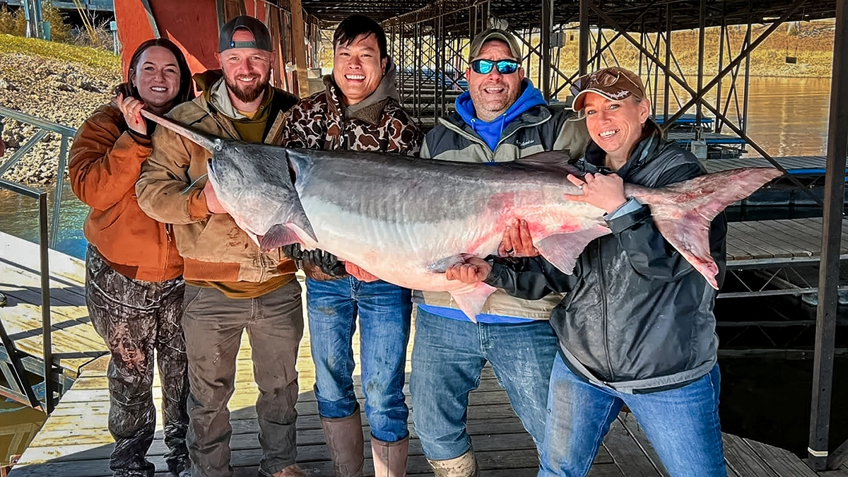 world record paddlefish