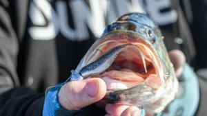 [VIDEO] Deep Winter Bass | Best Baits, Tactics, and Sonar Tips