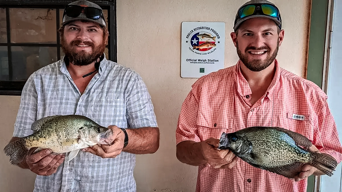 texas record crappie