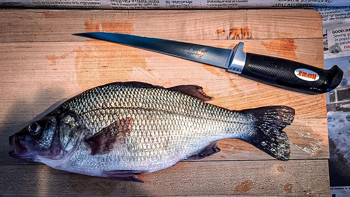 white perch aka silver bass with filet knife on cutting board