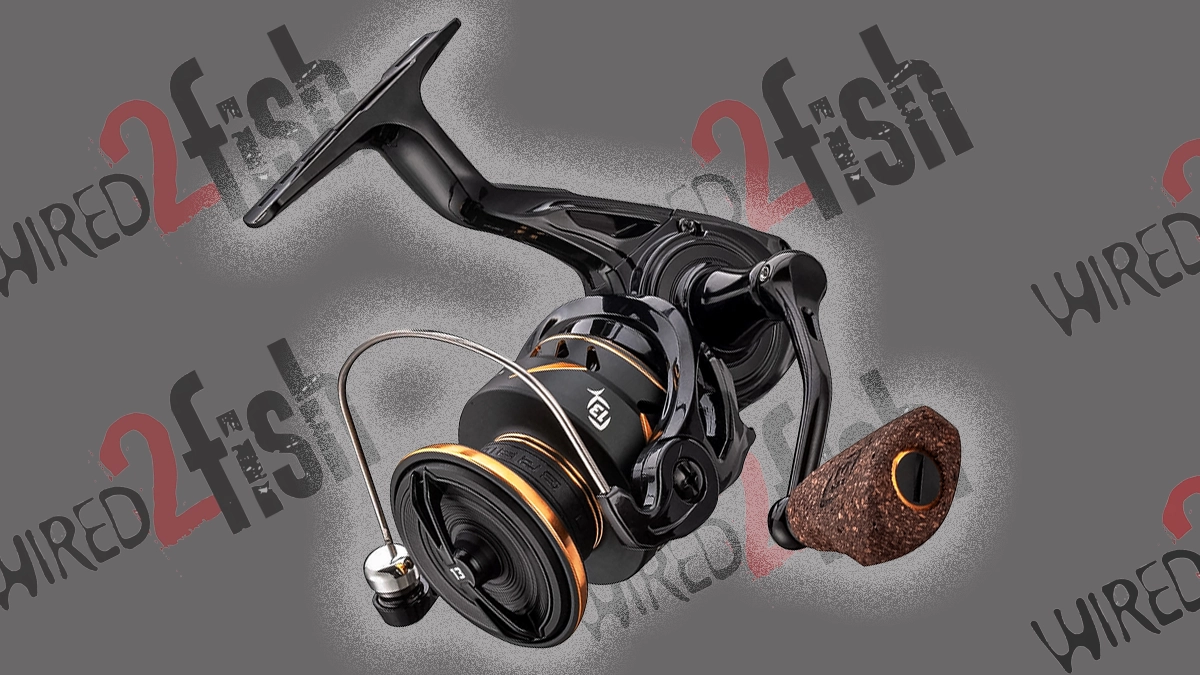 13 Fishing Axum Spinning Reel