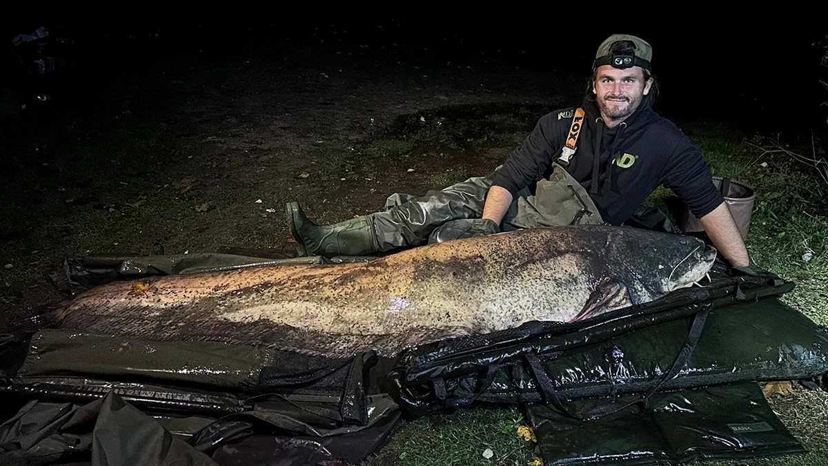 Shaun Ing new UK record wels catfish