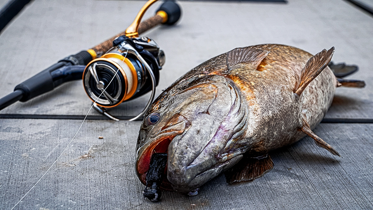 combo hair jig in a bass' mouth with rod and reel