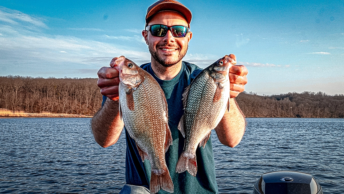 angler with two white perch aka silver bass