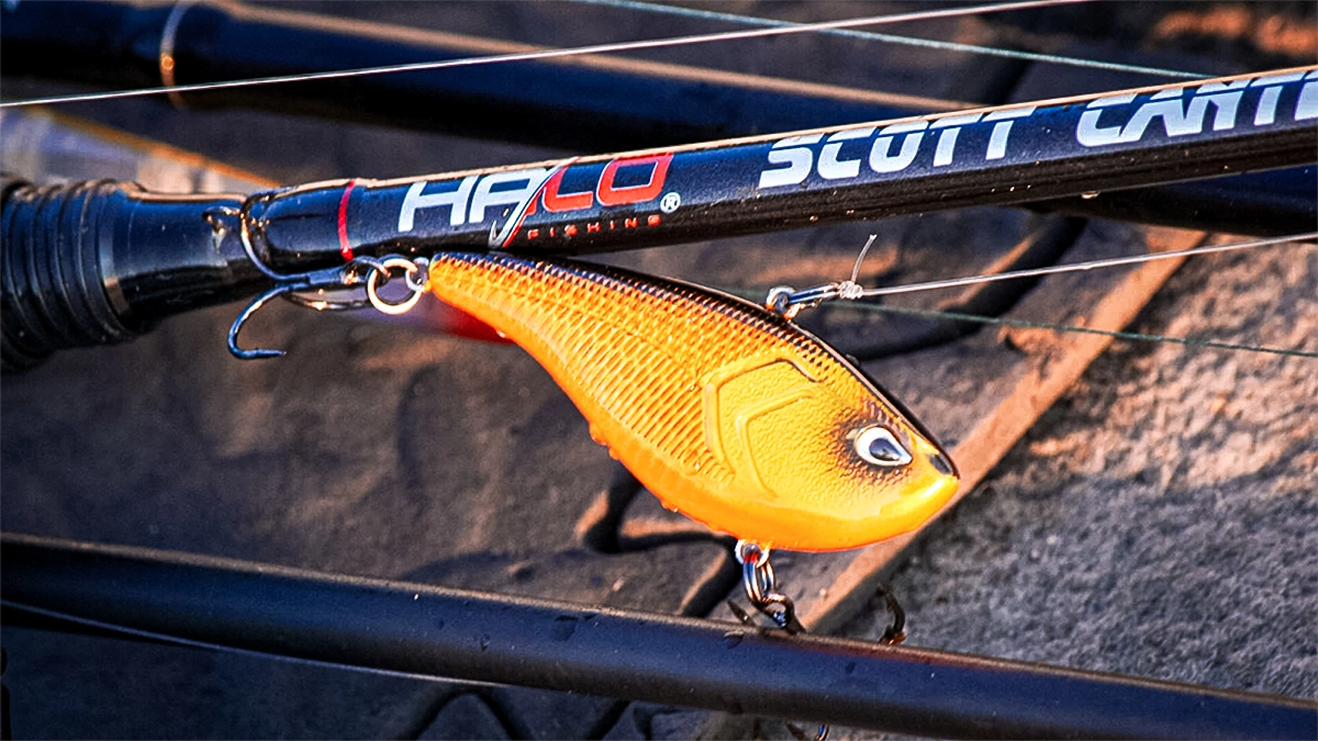 orange lipless crankbait set up on a rod