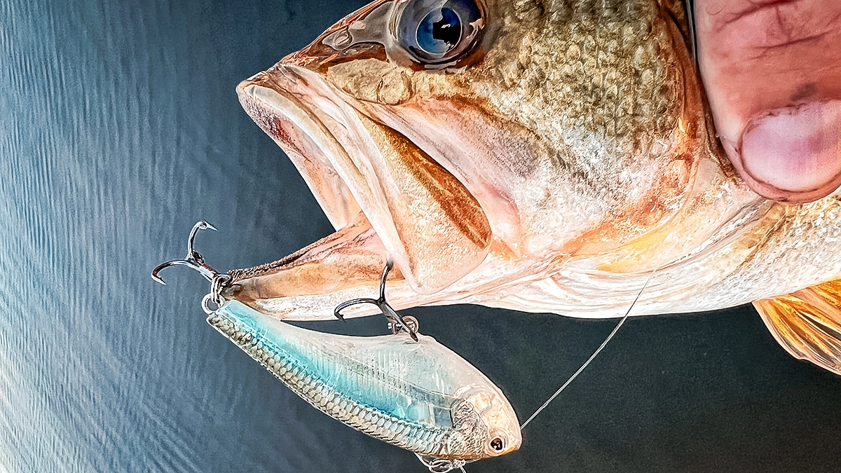 lipless crankbait hooked on a bass