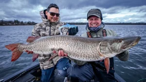 Best Musky Lures: From Top to Bottom