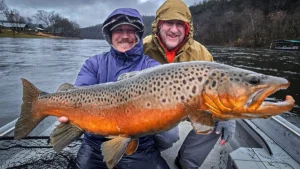 Arkansas’ White River Is a Winter Trout Fishing Hotspot