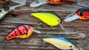 What Lures We’re Throwing in February