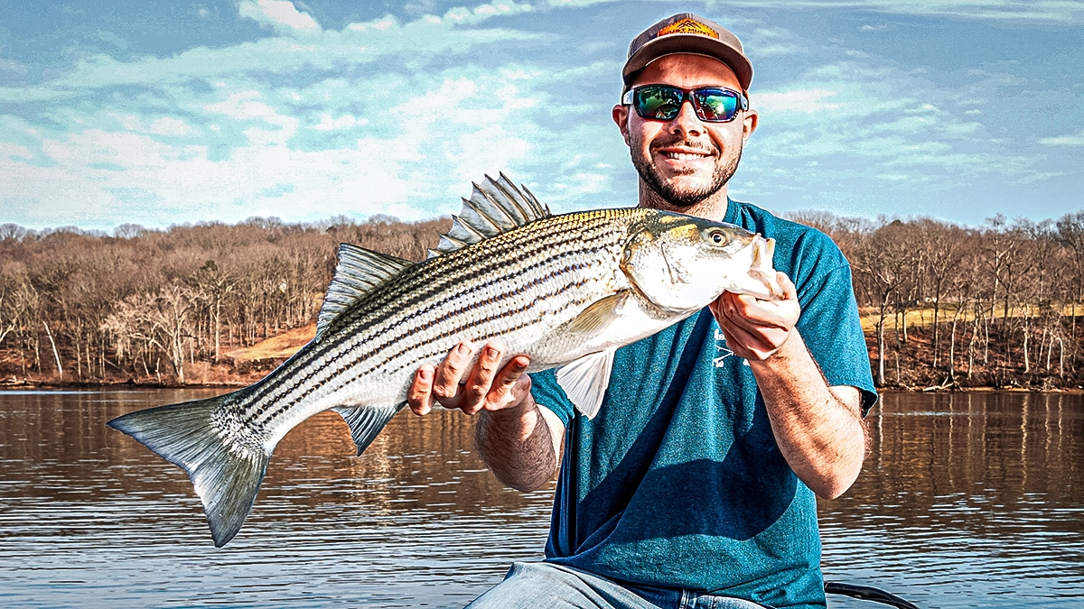 angler with a striped bass on a lake