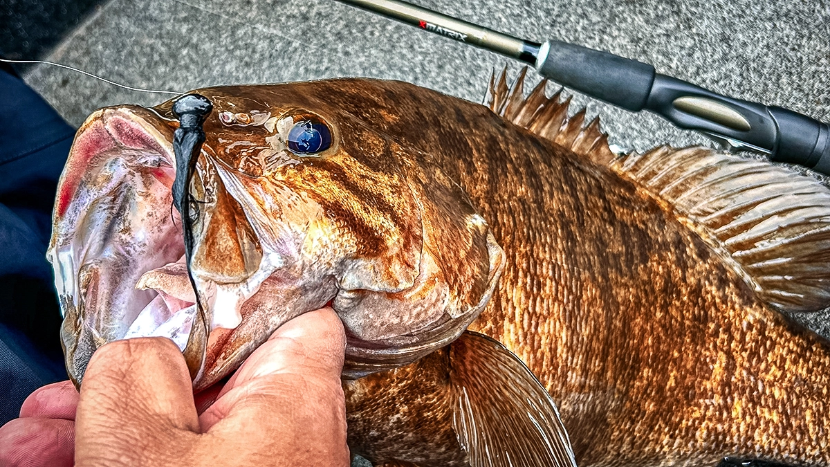 bass on a matrix hair jig