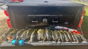 2 Nabbed for Illegally Spearing 76 Pounds of Bass in Texas