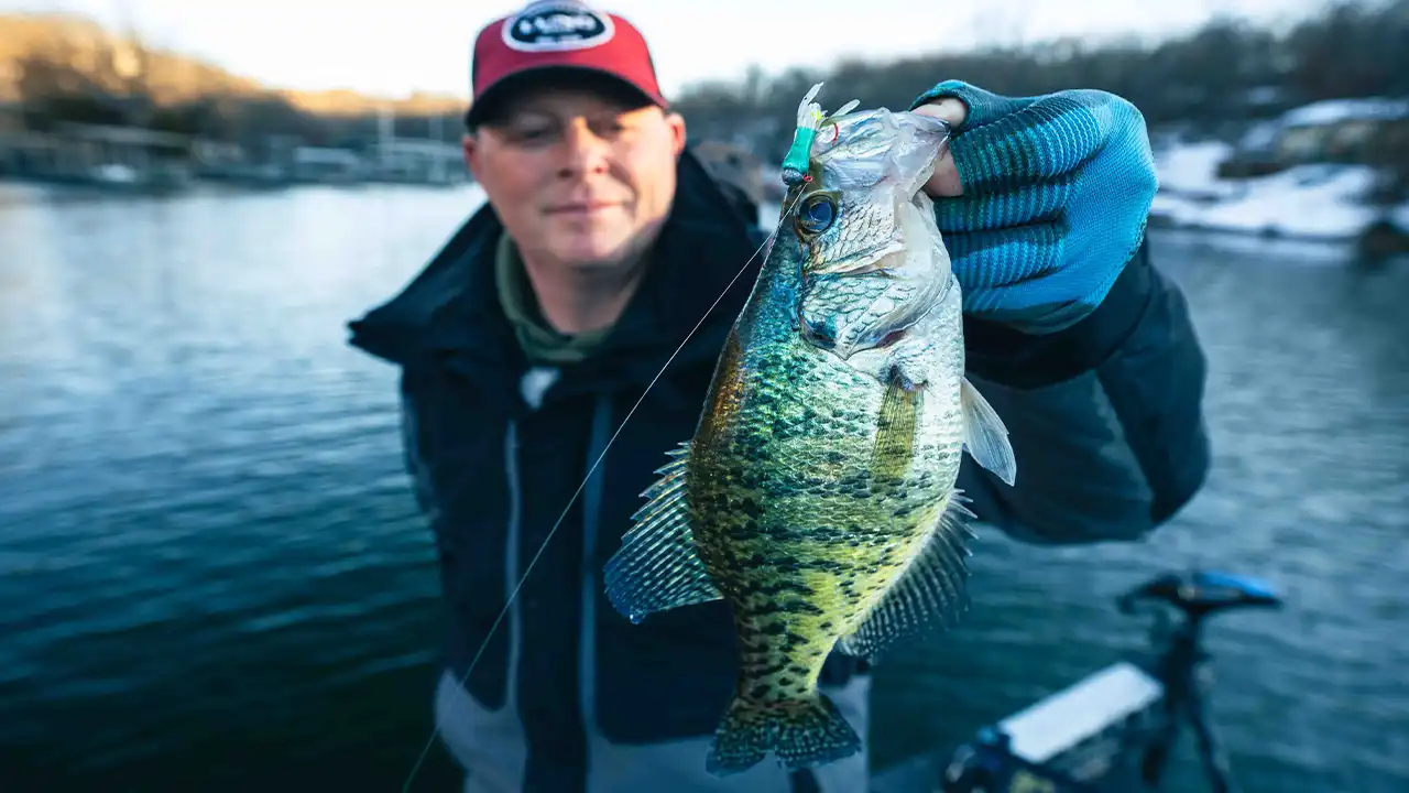 winter-crappies