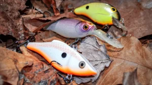 How To Choose the Best Crankbaits for Bass