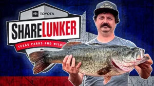 Lake Record Bass is 3rd Texas ShareLunker of 2025