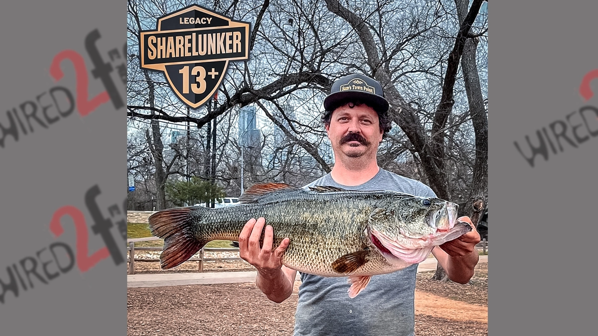 Willie Pipkin Legacy Sharelunker 672