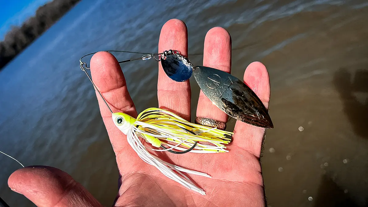 spinnerbait