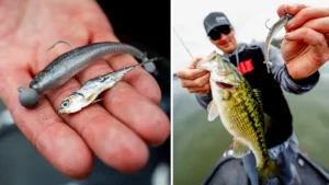 [VIDEO] Dustin Connell’s Prespawn Spotted Bass Game Plan