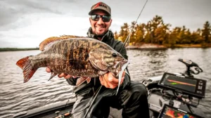 damiki rig on smallmouth bass
