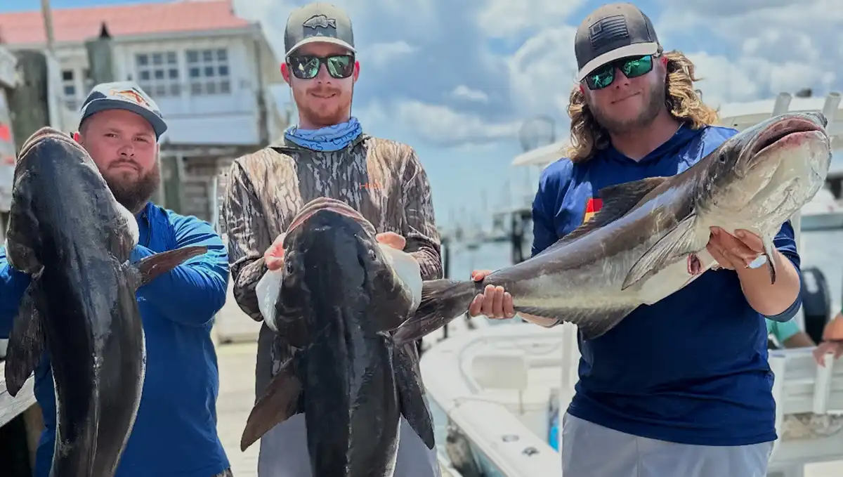 Huk Charleston Cobia Cup