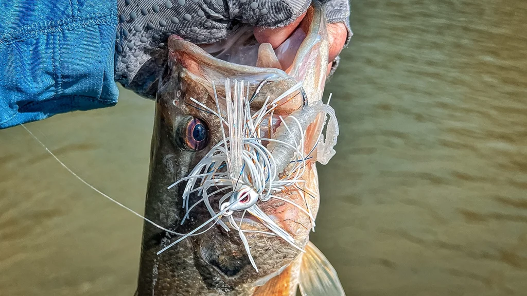 Nomad Badlands Swim Jig hooked on a bass
