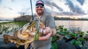 cox-swim-jig-bass