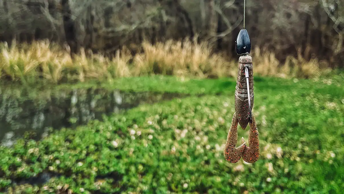Berkeley PowerBait MaxScent Stank Bug with hook poking through